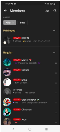Screenshot_2022-11-24_130618.png