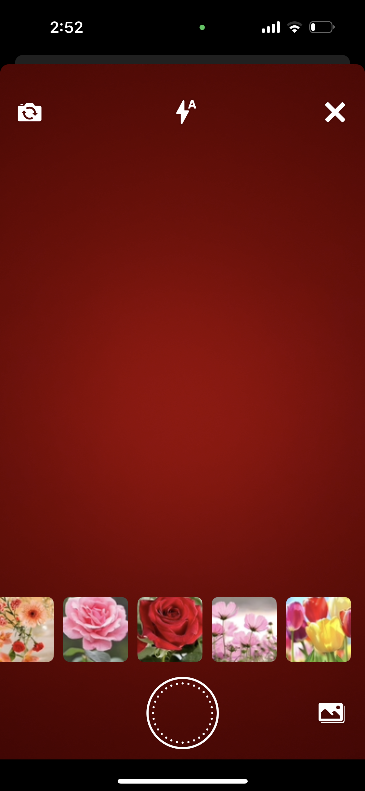 IMG_5967.png